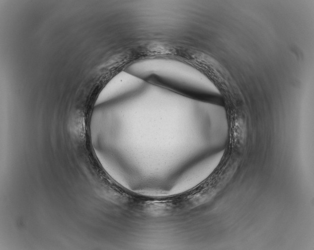 X0000111870320200908201222