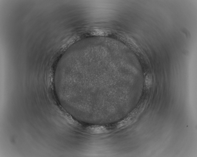 X0000111870322200908201222