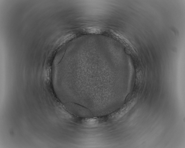 X0000111870325200908201222