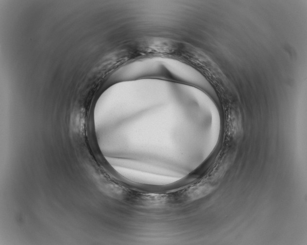 X0000111870328200908201222