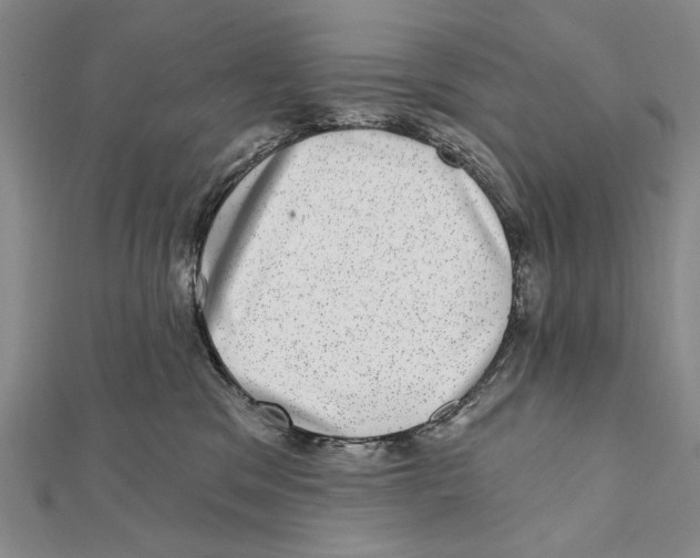 X0000111870329200908201222