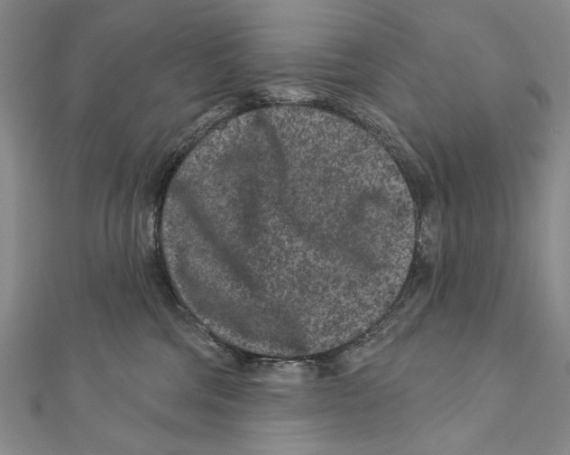 X0000111870330200908201222