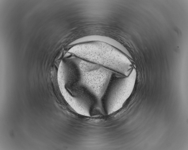 X0000111870332200908201222