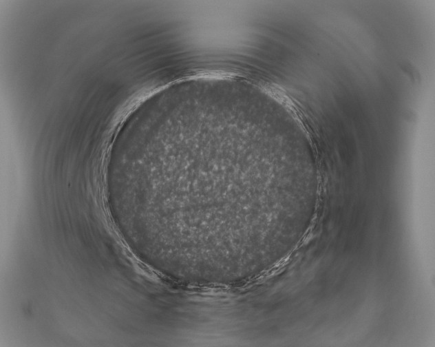 X0000111870337200908201221