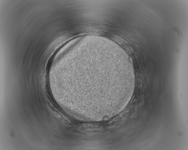 X0000111870338200908201221