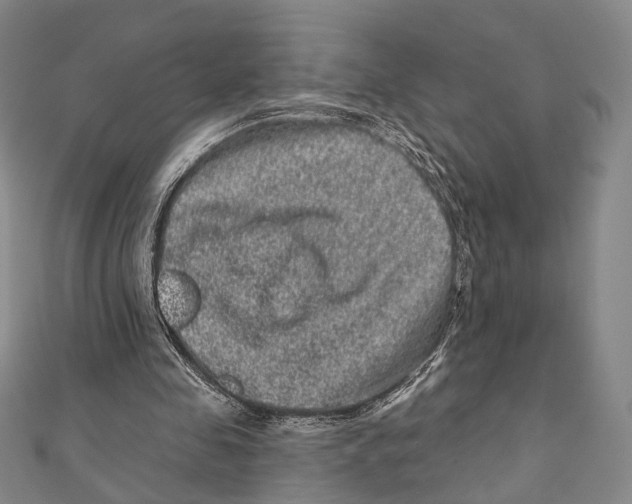 X0000111870341200908201221