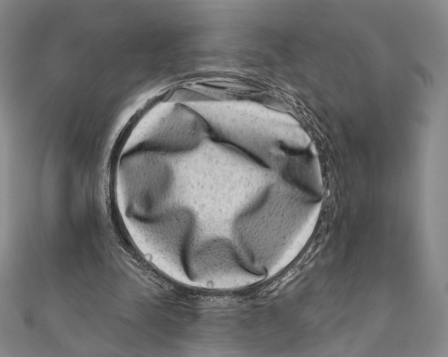 X0000111870342200908201221