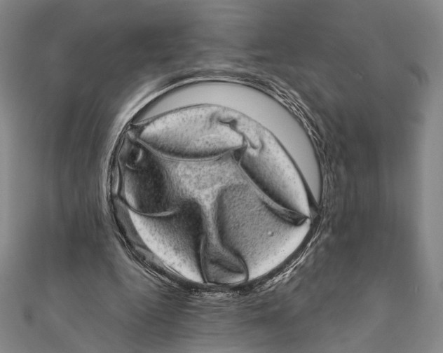 X0000111870344200908201221