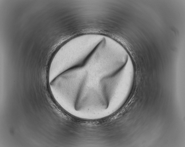 X0000111870345200908201221