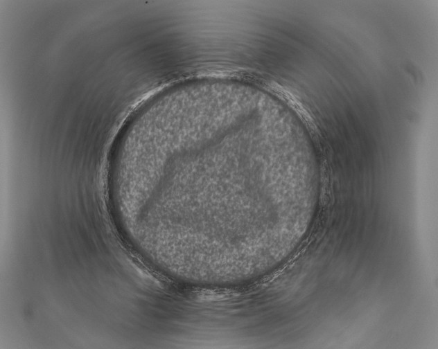 X0000111870346200908201221