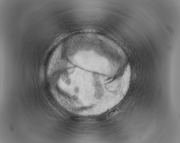 X0000111870347200908201221