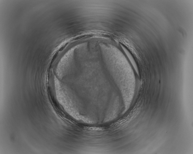 X0000111870348200908201221