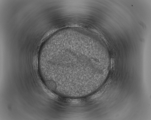 X0000111870349200908201221