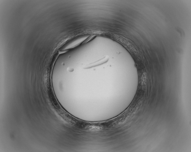 X0000111870352200908201221