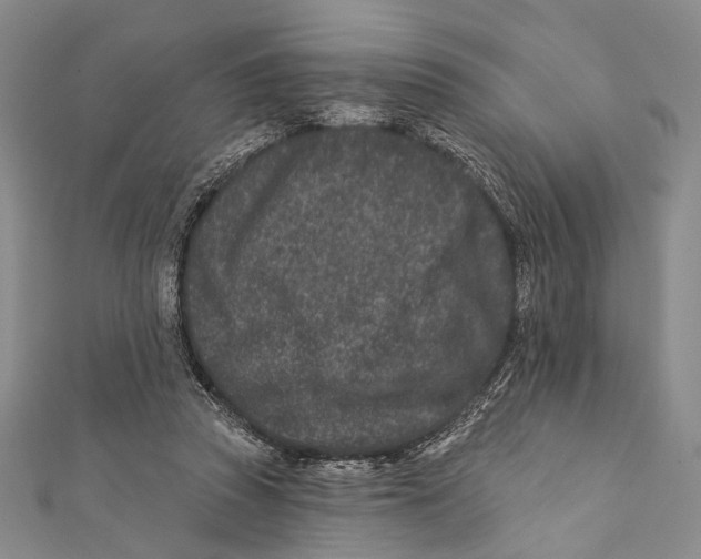 X0000111870353200908201221