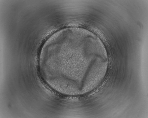 X0000111870354200908201221