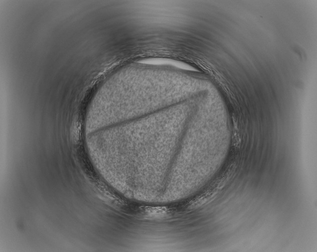 X0000111870355200908201221