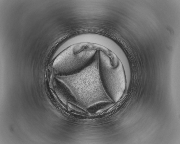 X0000111870356200908201221