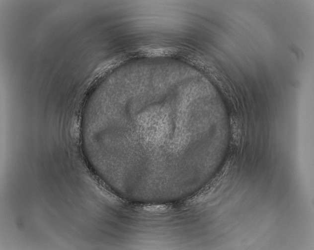 X0000111870357200908201221