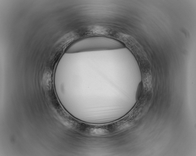 X0000111870360200908201221