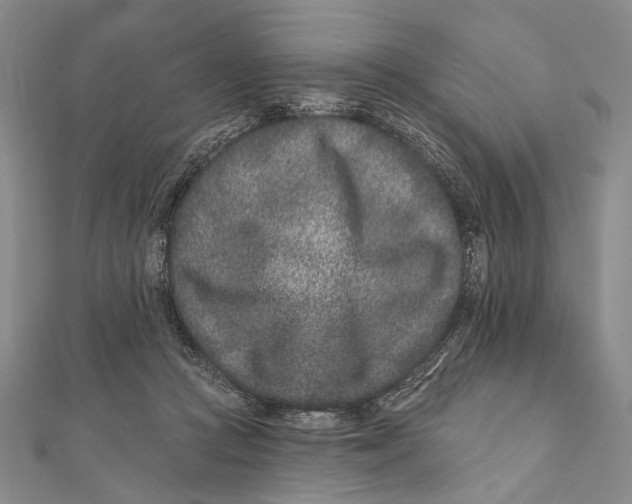 X0000111870361200908201221