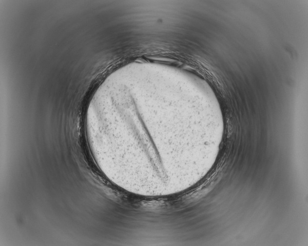 X0000111870362200908201221