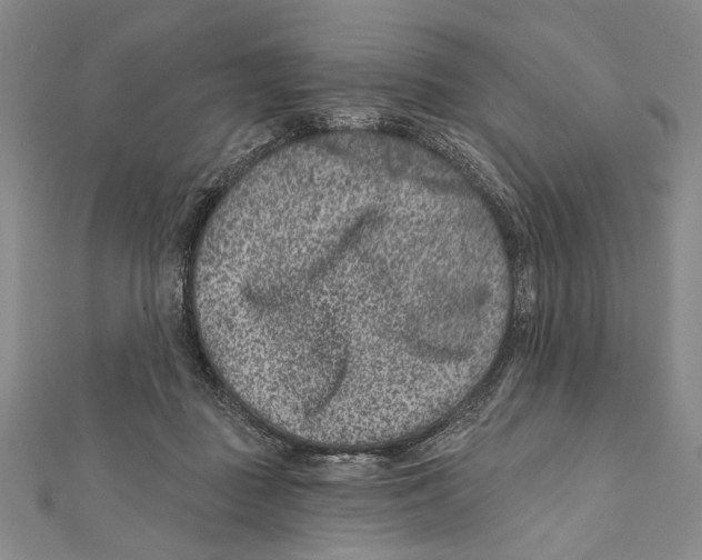 X0000111870363200908201221