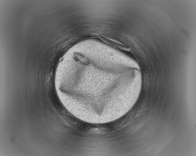 X0000111870364200908201221