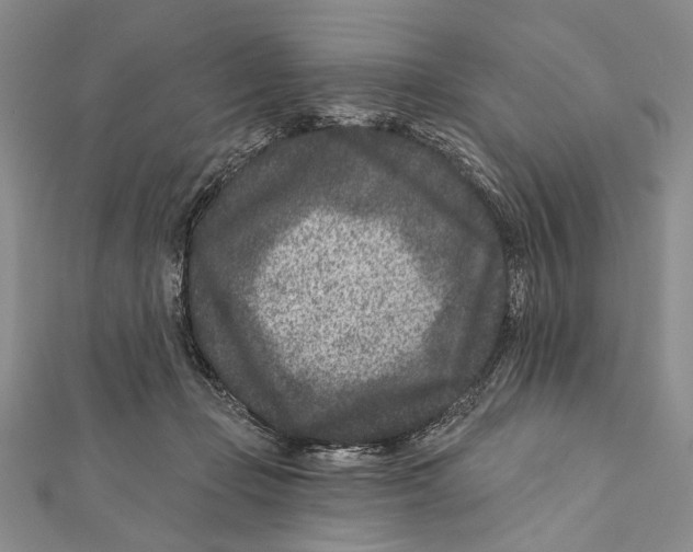 X0000111870365200908201221