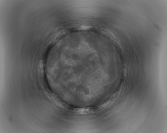 X0000111870366200908201222