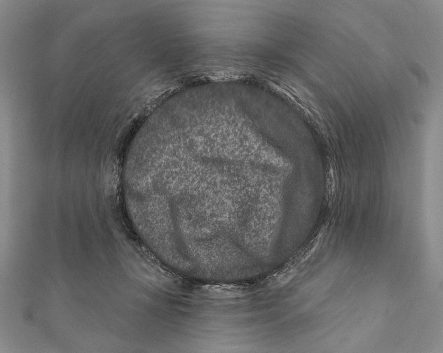 X0000111870367200908201222