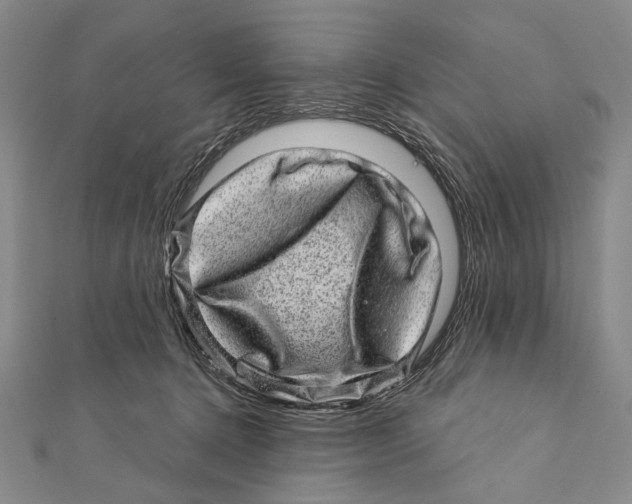 X0000111870368200908201222