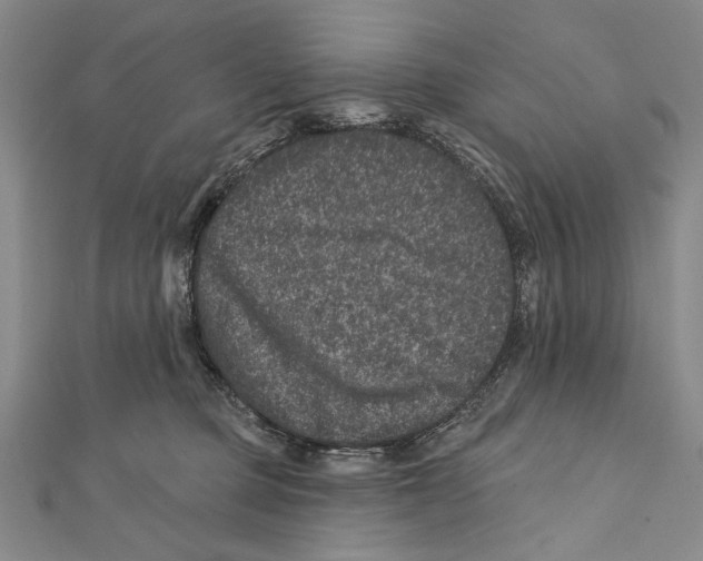 X0000111870373200908201222