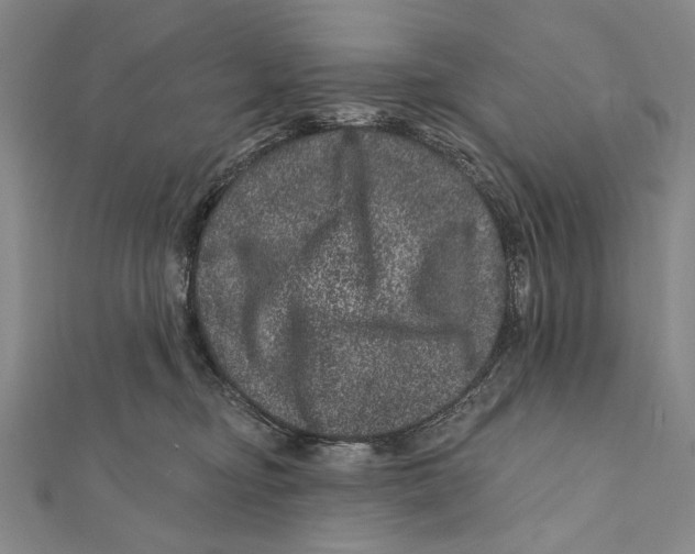 X0000111870374200908201222