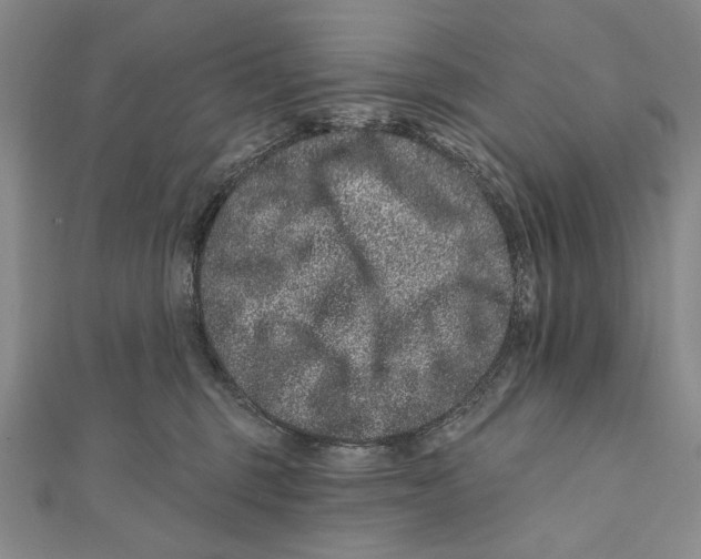 X0000111870375200908201222