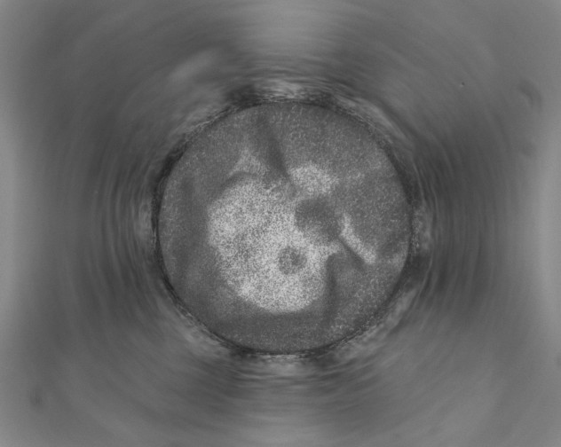 X0000111870377200908201222