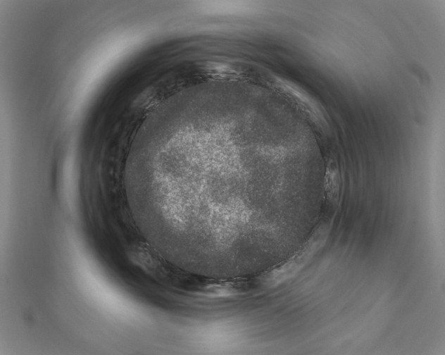 X0000111870381200908201222