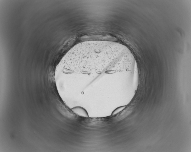 X0000111870384200908201222