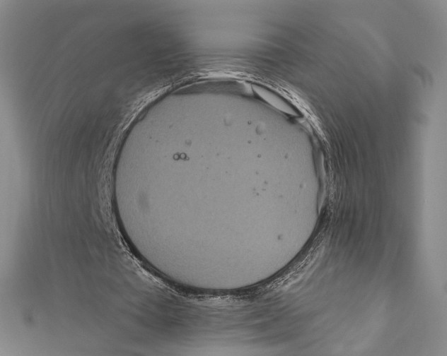 X0000111870385200908201221