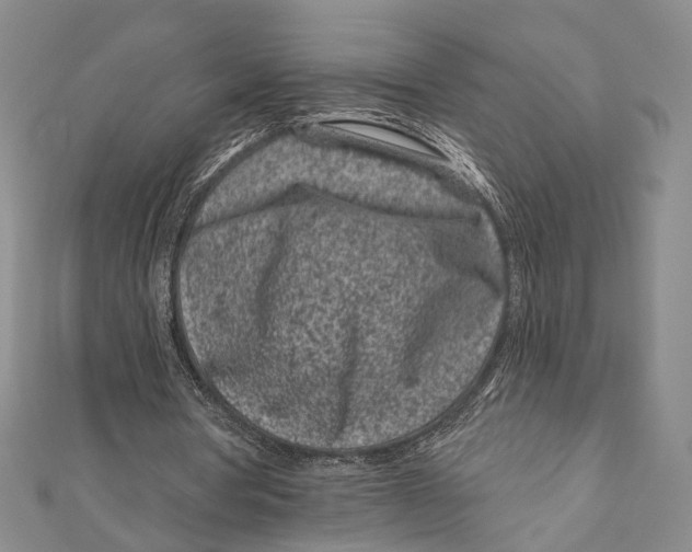 X0000111870386200908201221