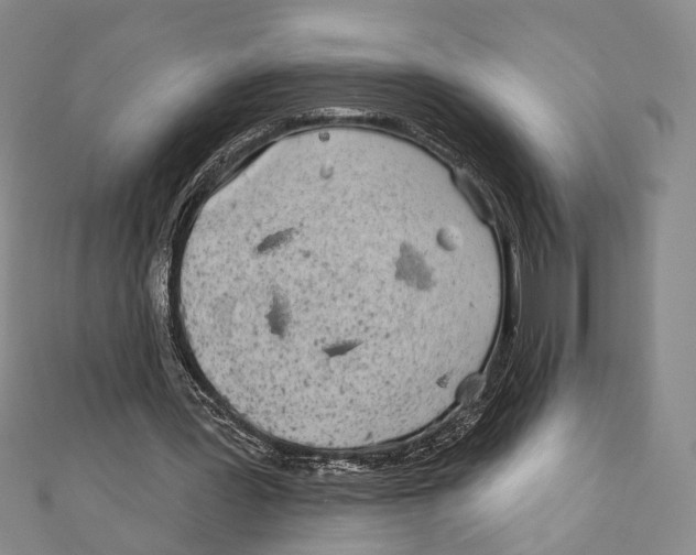 X0000111870387200908201221