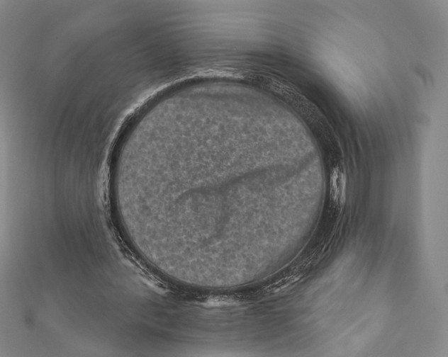 X0000111870388200908201221