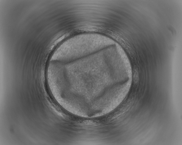 X0000111870390200908201221