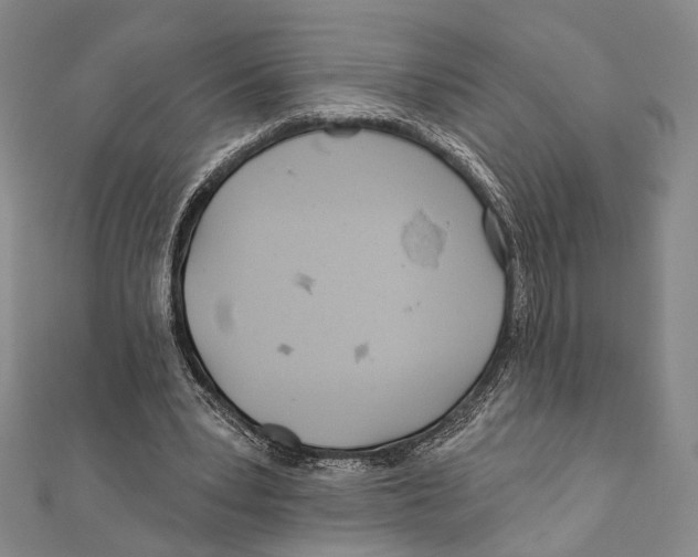 X0000111870391200908201221