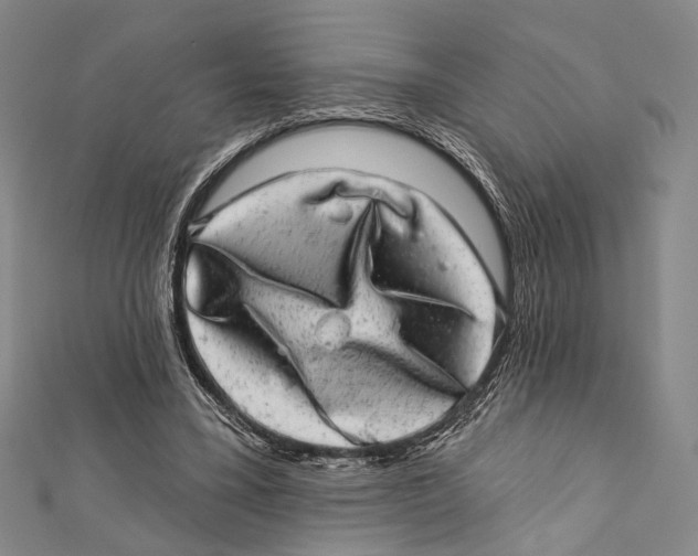 X0000111870395200908201221