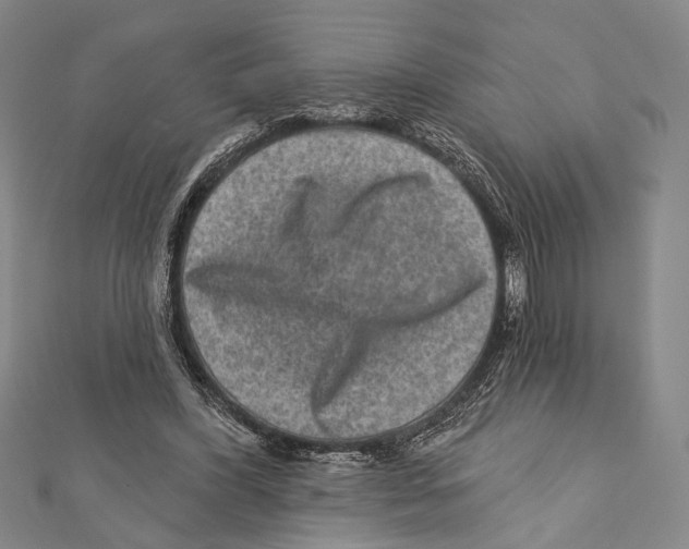 X0000111870396200908201221