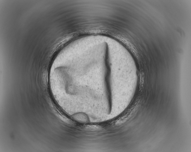 X0000111870397200908201221