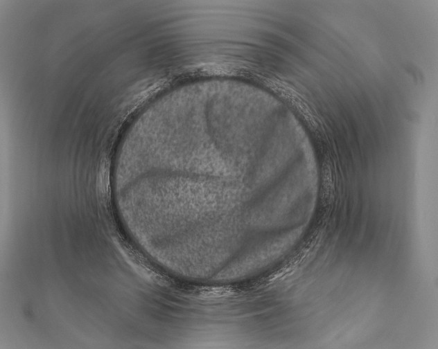 X0000111870398200908201221