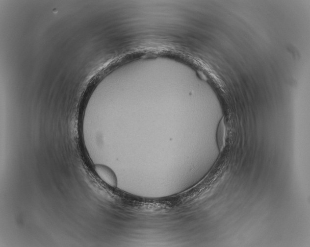 X0000111870399200908201221