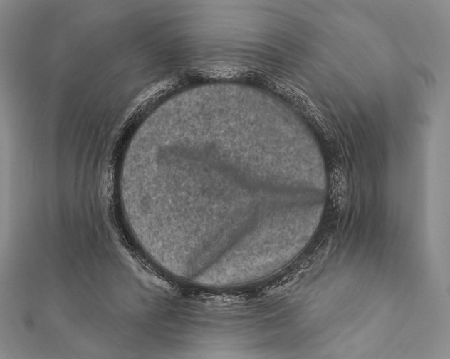 X0000111870400200908201221